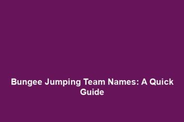 Bungee Jumping Team Names: A Quick Guide