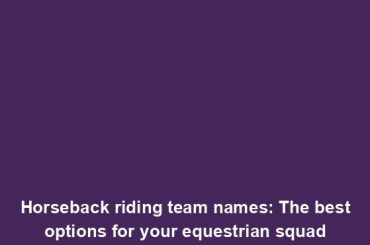 Horseback riding team names: The best options for your equestrian squad