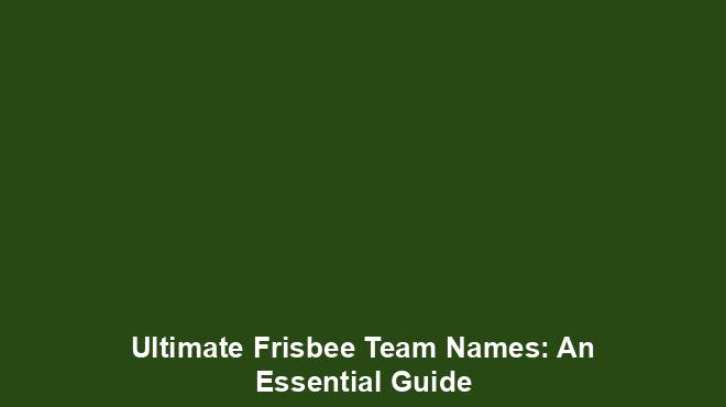 Ultimate Frisbee Team Names: An Essential Guide - Team Names World